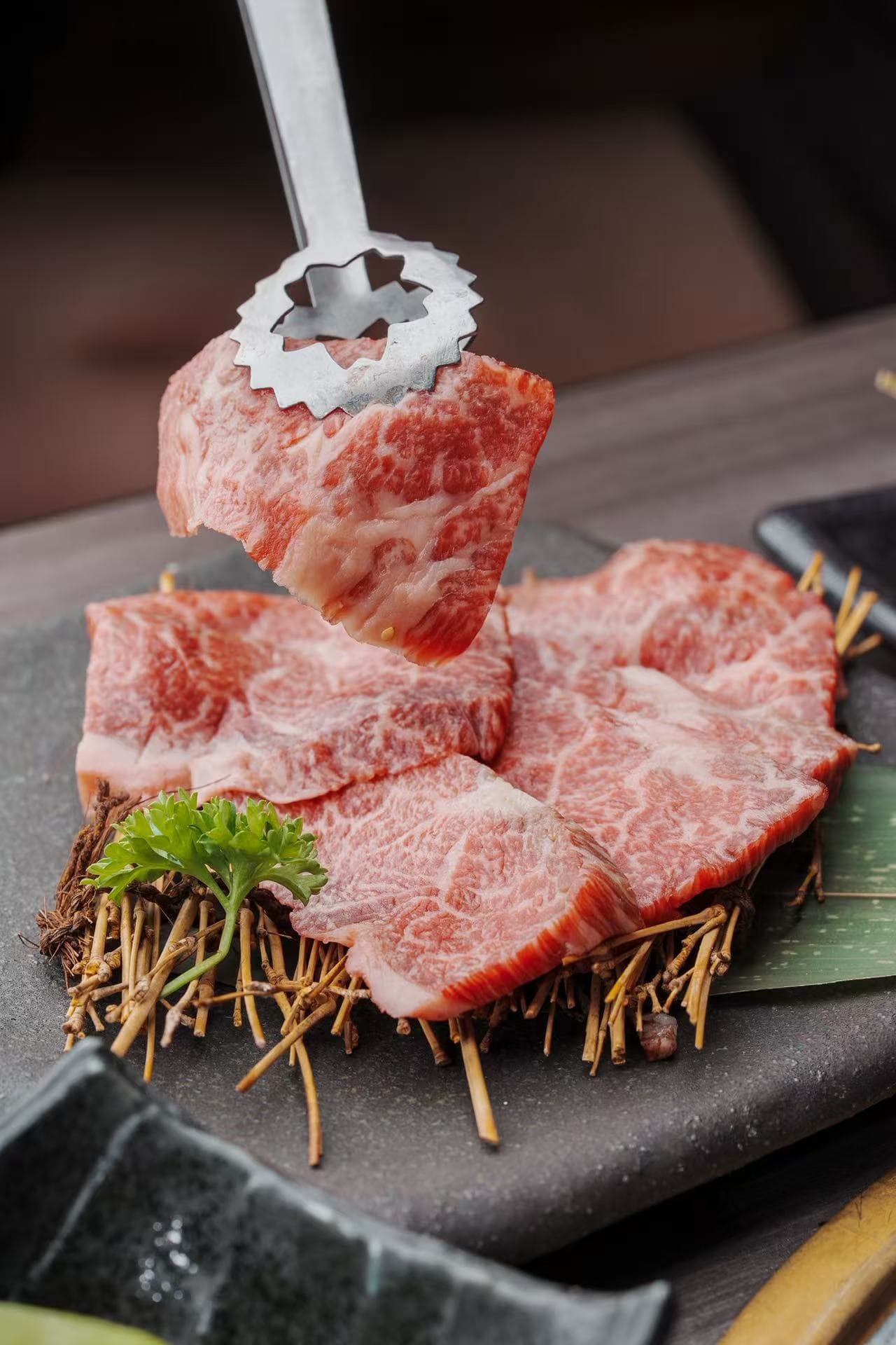 Japanese Charcoal BBQ